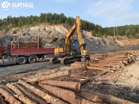 松木樁批發(fā)價格是多少？