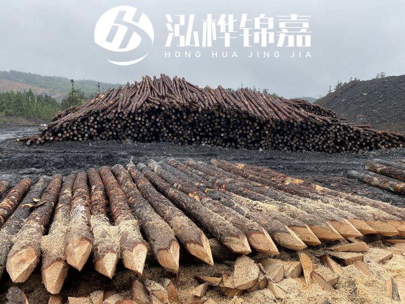 6米長松木樁有哪些作用，多少錢一根？