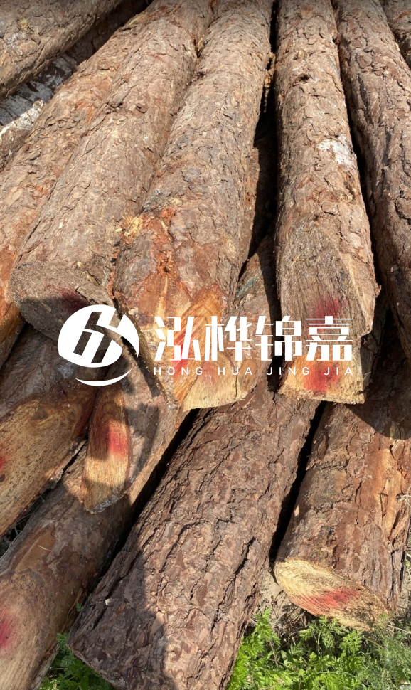 <strong>松木樁和杉木樁的用途區(qū)別？哪個更適合打樁用？</strong>