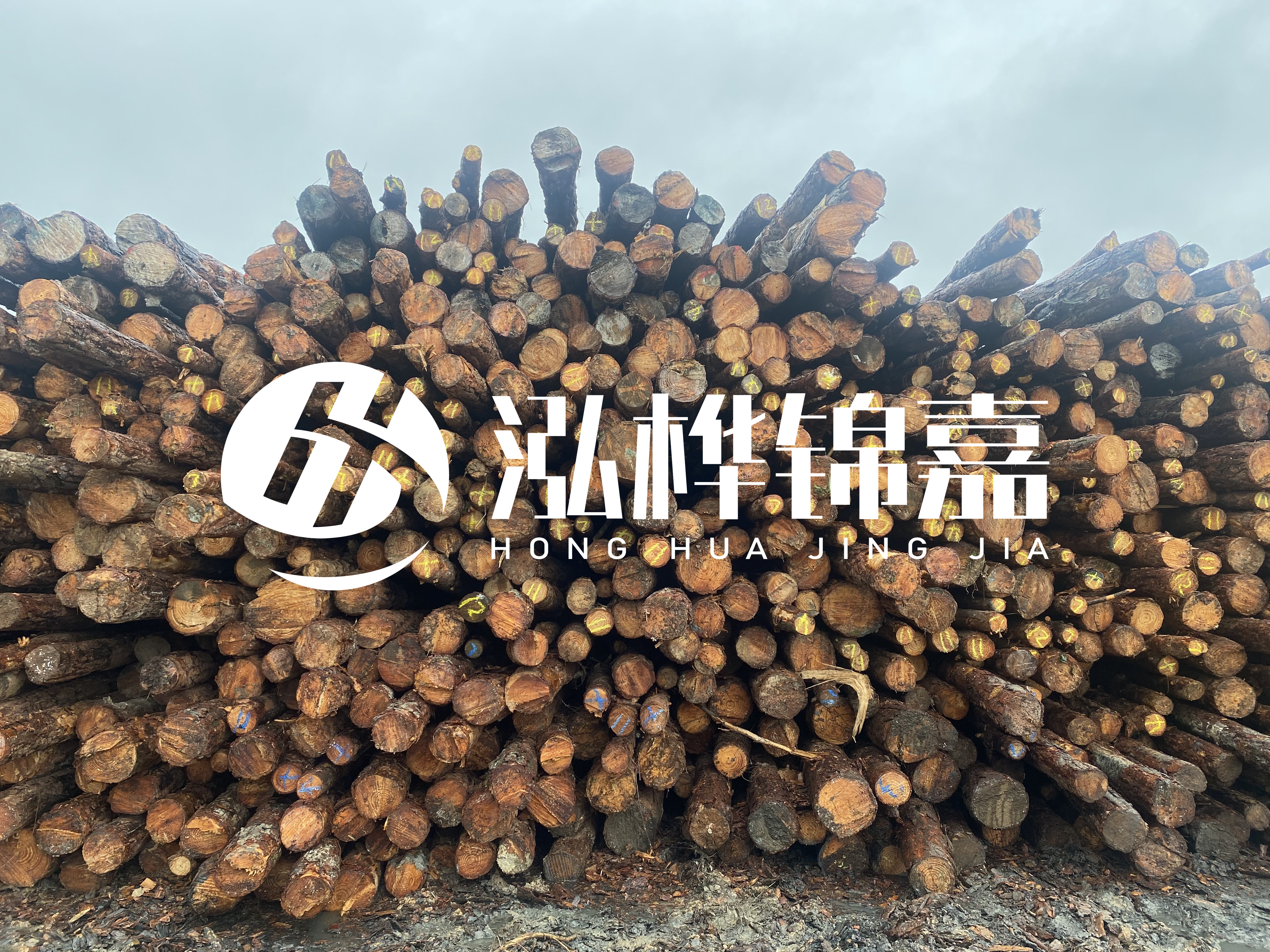 松木樁的直徑一般取多少？