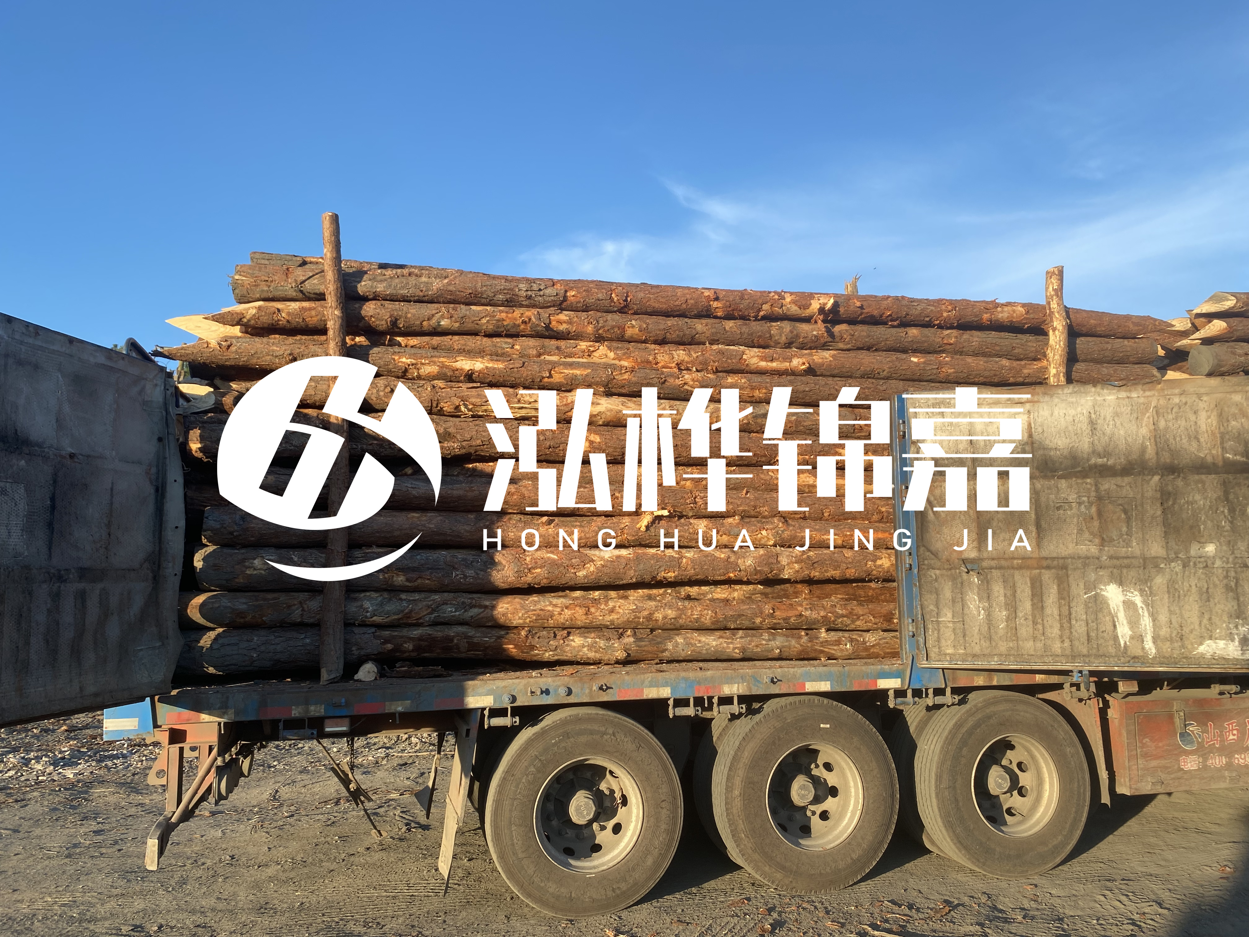 河道治理為什么要用松木樁？