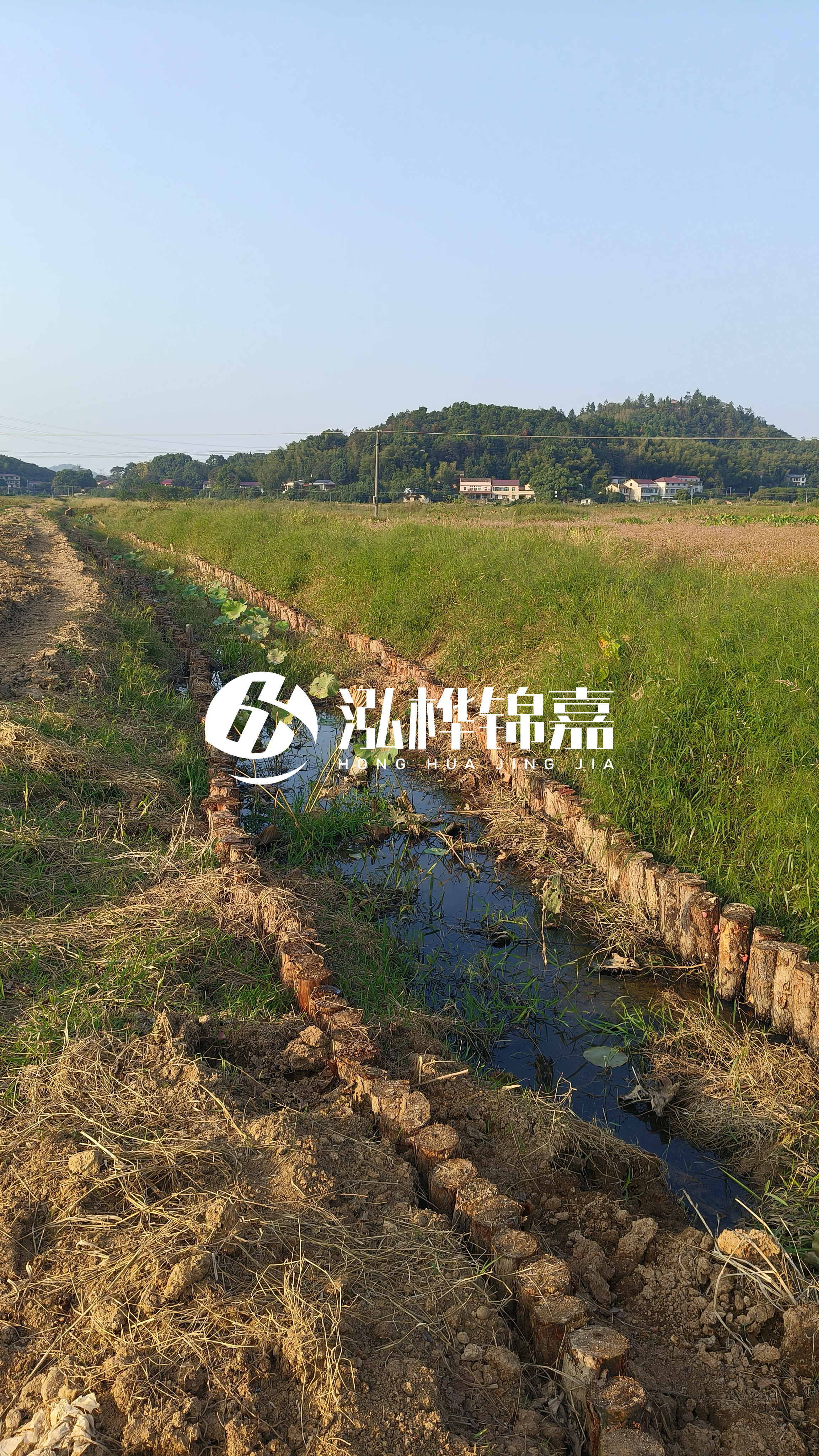 河道護(hù)坡打木樁的目的全解析：你知道幾個(gè)？