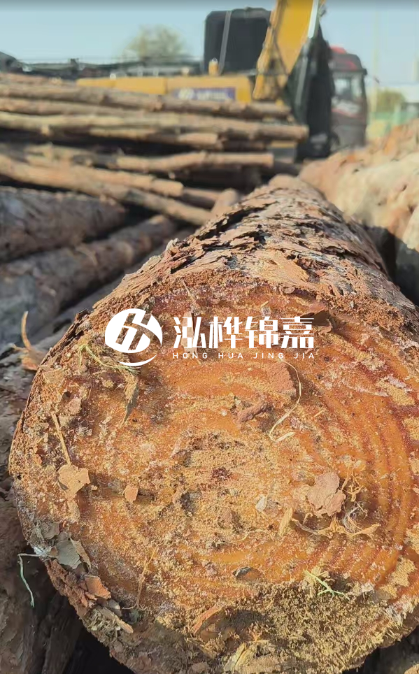 杉木樁價(jià)格多少錢一方-3米直徑14公分杉木樁價(jià)格？
