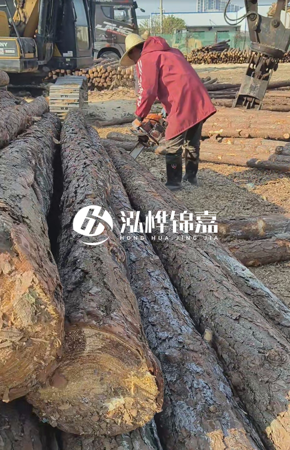 長沙打樁木批發(fā)廠家在哪里？聯(lián)系方式是什么？
