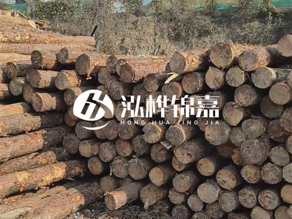 落葉松木材的主要產(chǎn)地在哪里？為什么比其他松木更耐腐蝕？