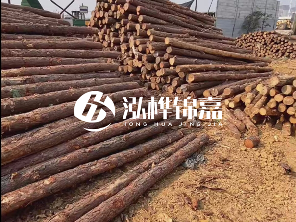 河道木樁施工遇到淤泥怎么辦？打多深才能防沖刷？