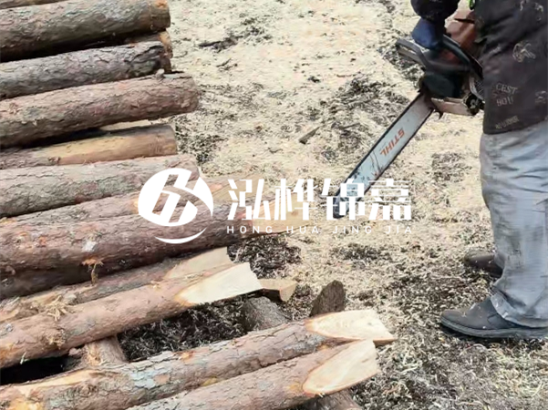 杉木樁批發(fā)廠家哪家好？產(chǎn)地直供渠道推薦！