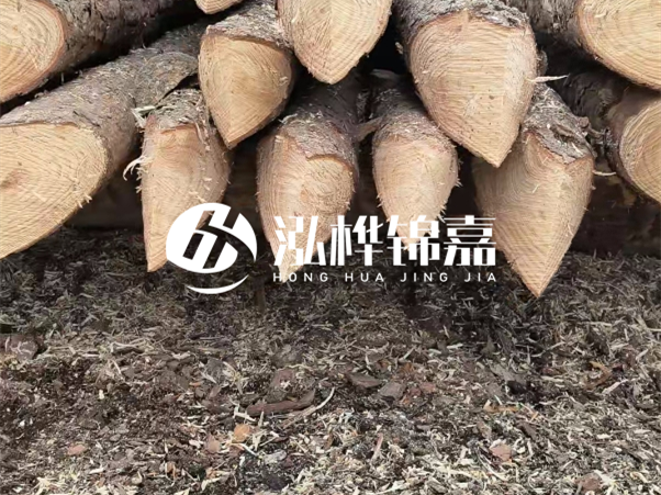 打樁木樁與鋼樁相比有哪些優(yōu)缺點？如何進行后期維護？