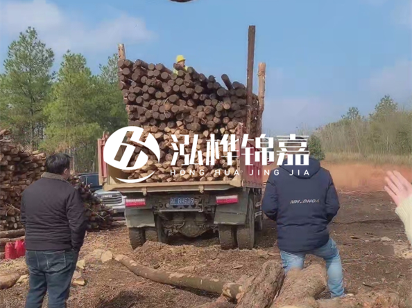 松木樁價格是按米算還是按根算？6米松木樁批發(fā)價每根多少錢？
