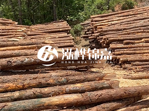 松木樁的運(yùn)輸費(fèi)用是否包含卸車費(fèi)？卸貨時(shí)需要注意哪些安全問題？