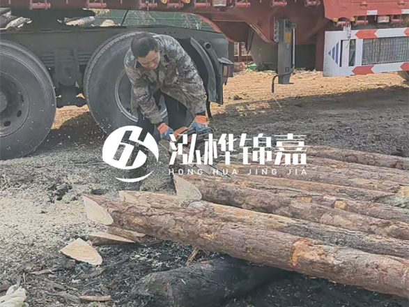 松木圓木價(jià)格大概多少一方-松木樁廠家按方可以賣嗎？