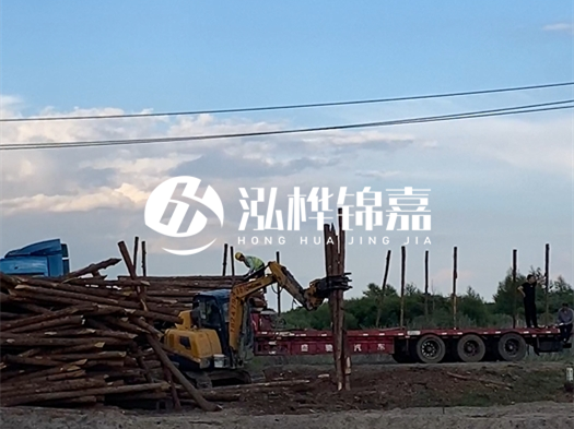 河北打樁木源頭廠家泓樺錦嘉 - 北方常用打樁木是什么？