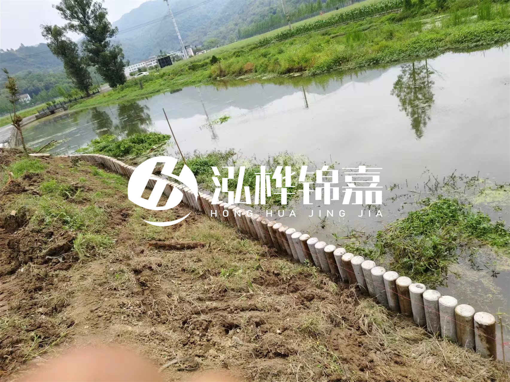 松木樁加固河道與水泥樁對比如何？哪一種更加適合您？
