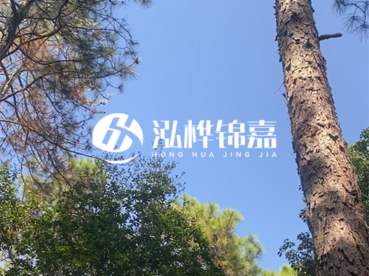 松木樁廠家泓樺錦嘉可以實(shí)地考察嗎？需要提前預(yù)約嗎？