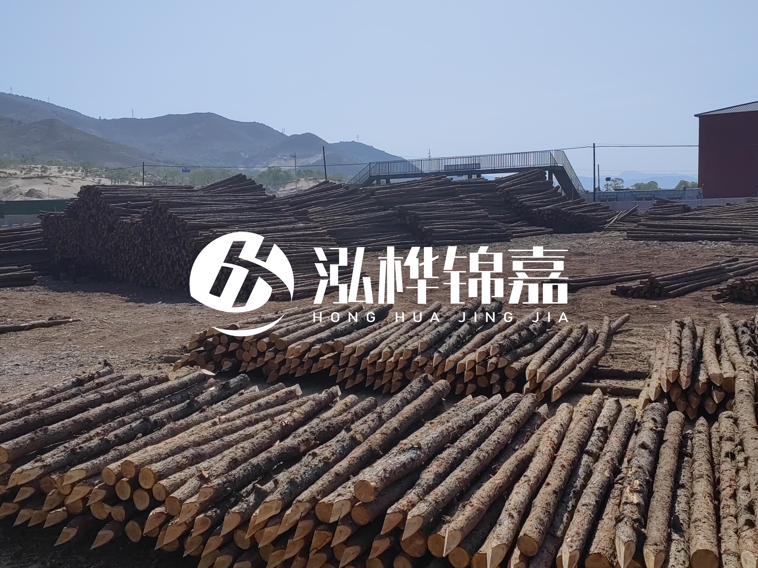 江蘇打樁木源頭廠家泓樺錦嘉-4米打樁木大頭14-16小頭一般多少？