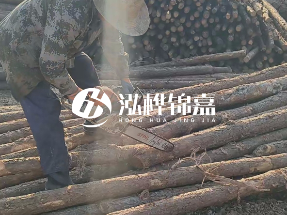 廣東打樁木源頭廠家泓樺錦嘉 - 如何選擇適合特定邊坡的松木樁？