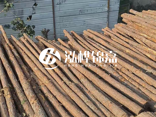 松木樁打樁后清淤怎么處理？有沒有全包的公司？