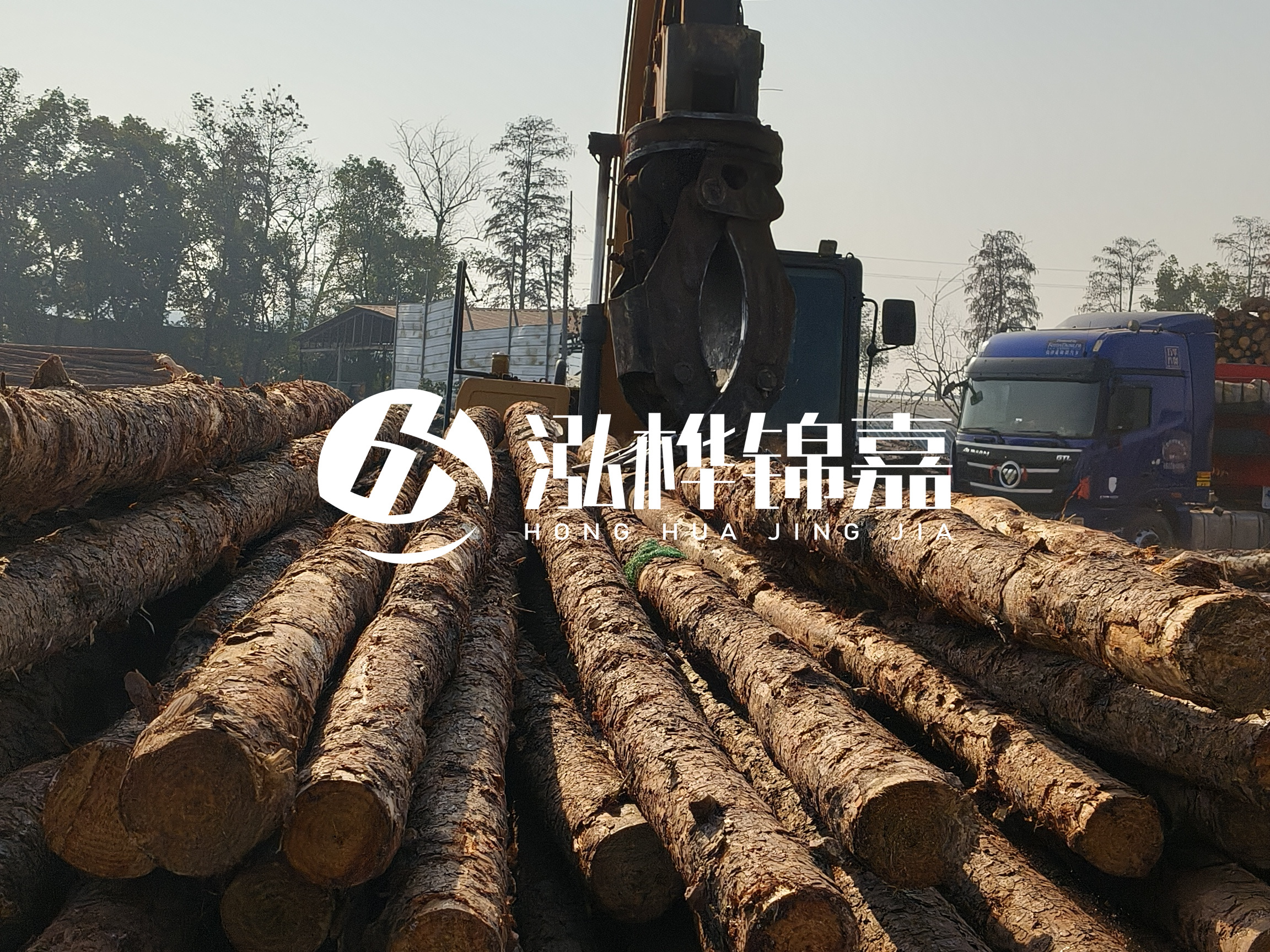 松木樁可以用來做什么？常用于哪些工程？