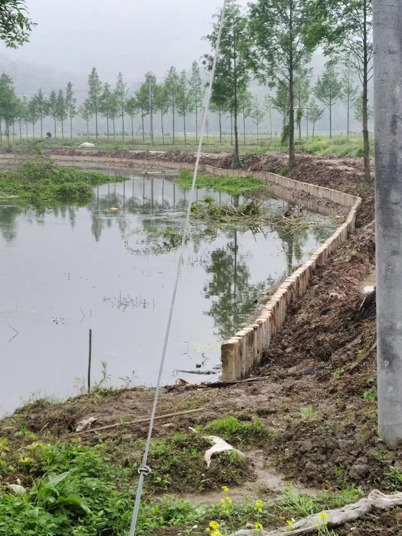 湖南水泥樁施工隊泓樺錦嘉-打水泥樁需要注意哪些事項？