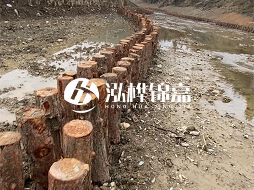 松木樁施工隊泓樺錦嘉 - 松木樁 6 米多少錢？