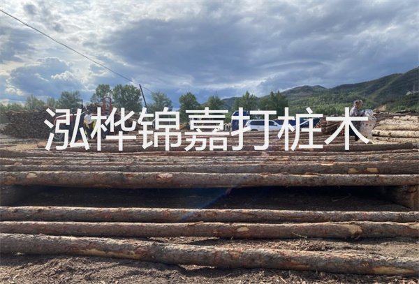 松木樁水下施工：無(wú)拖累，高效穩(wěn)固！